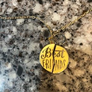 Pet and Owner Best Friends Necklace and Collar Tag